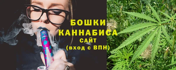 крисы Белокуриха