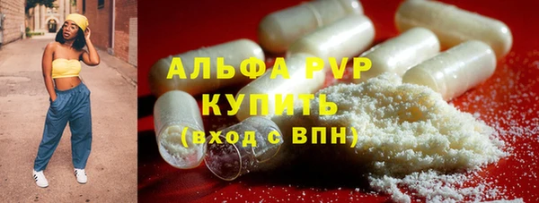 крисы Белокуриха